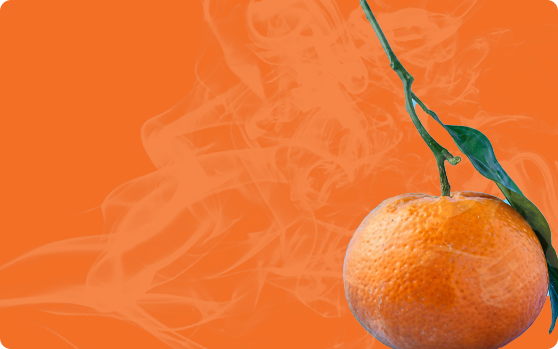 When Vapor Meets Flavor